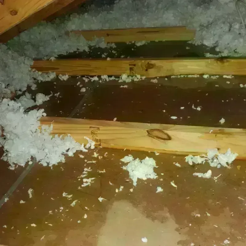 Attic Water Damage in Falmouth, MA